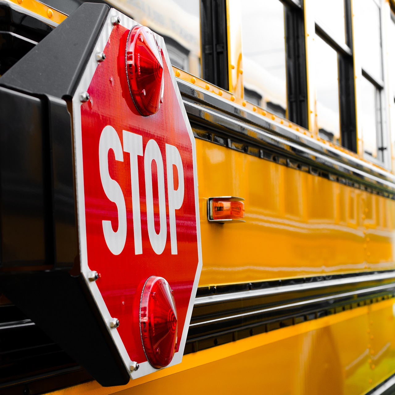 school bus, transportation, stop sign-6561460.jpg